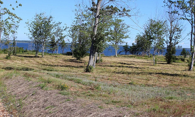 Sand Point Rd, Colch...