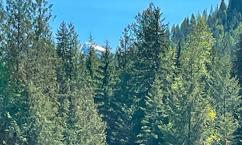 295 Secluded Acres W...
