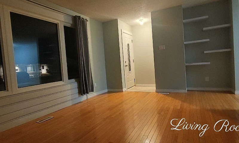 Clean, Spacious, 3 B...