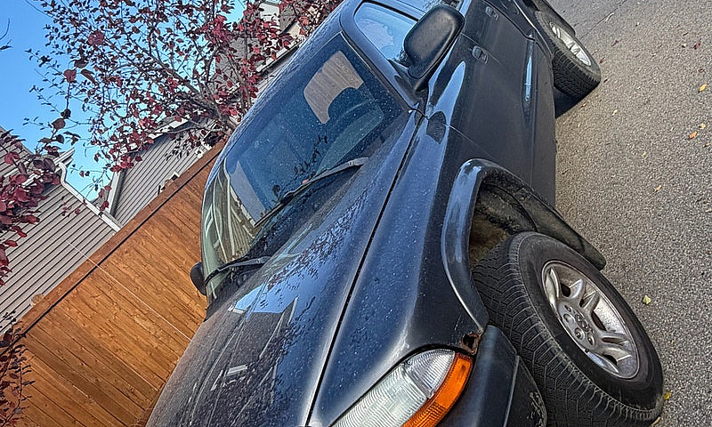 Dodge Dakota 2003...