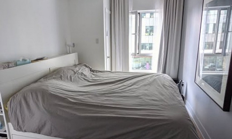 1 Bedroom Downtown C...