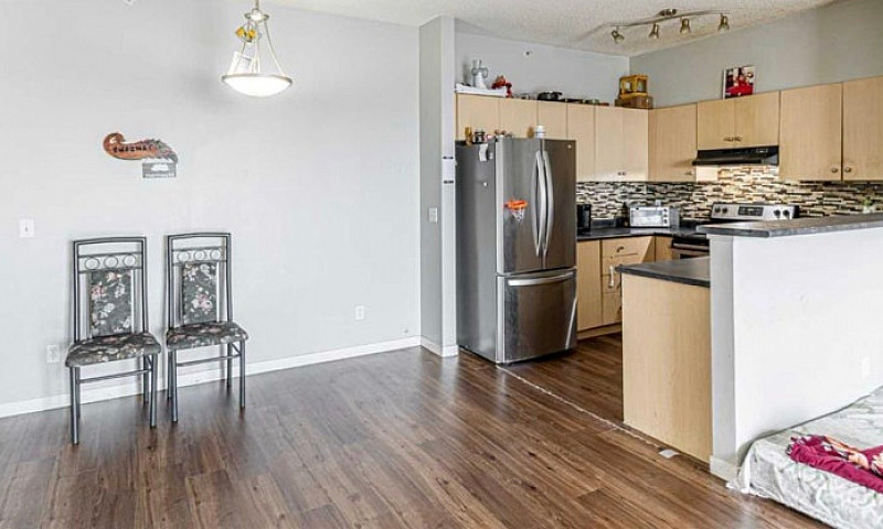 Rent Apartment...