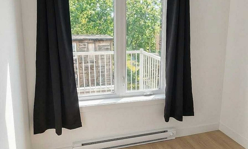 Appartement 1 Chambr...