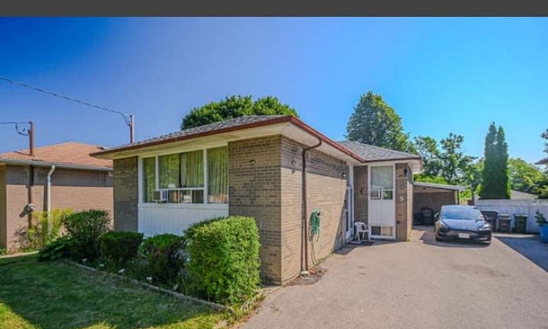3 Bed 1 Bath Main Fl...