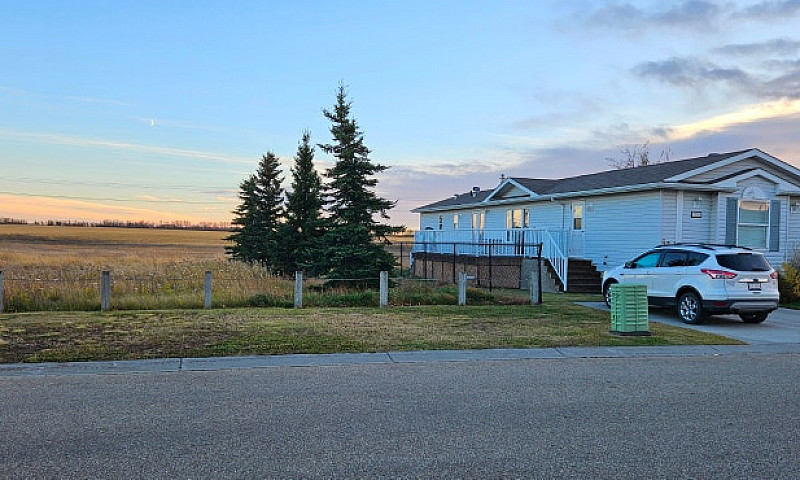 3 Beds 2 Baths - Mod...