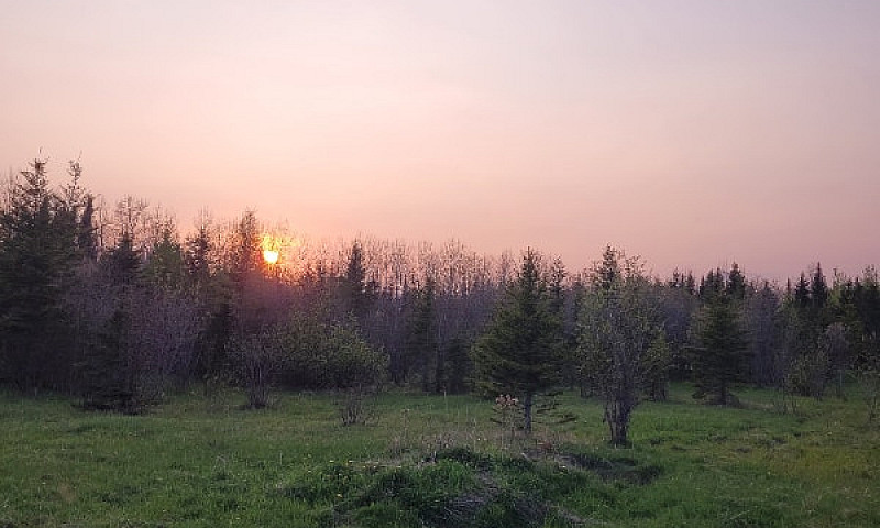 Land In Off Grid Com...