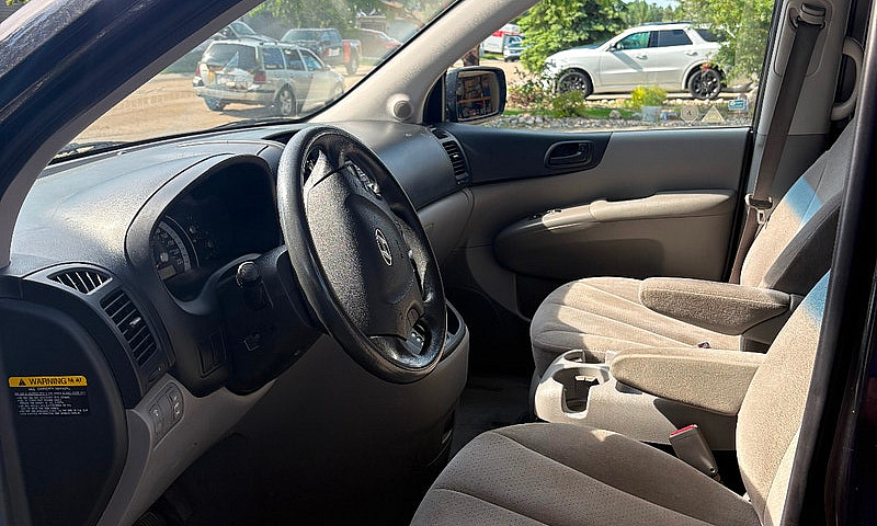 2010 Hyundai Entoura...