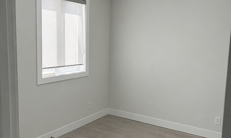 Modern 2 Bedroom Bas...