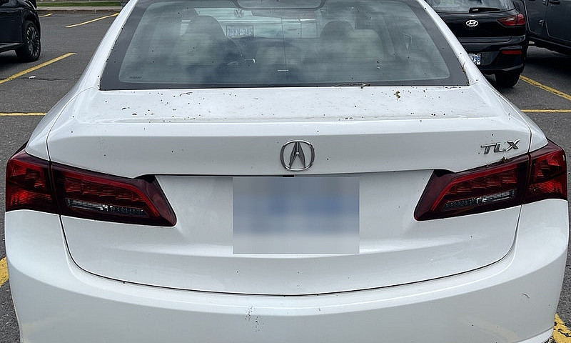 2016 Acura Tlx Techn...