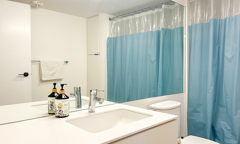 2 Bedroom Downtown A...