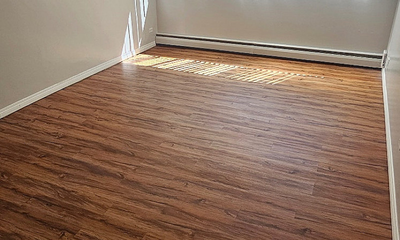 1 Bedroom 1 Bath Apa...