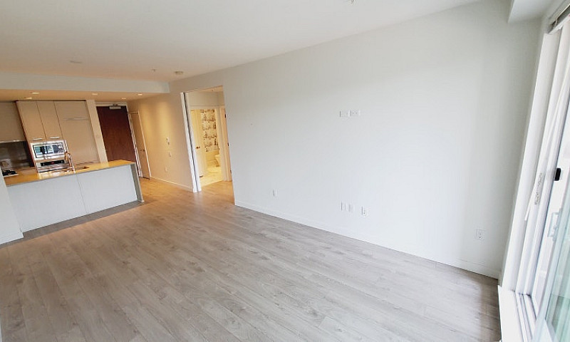 Spacious Modern 1 Be...