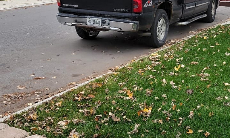 2005 Chevrolet Silve...
