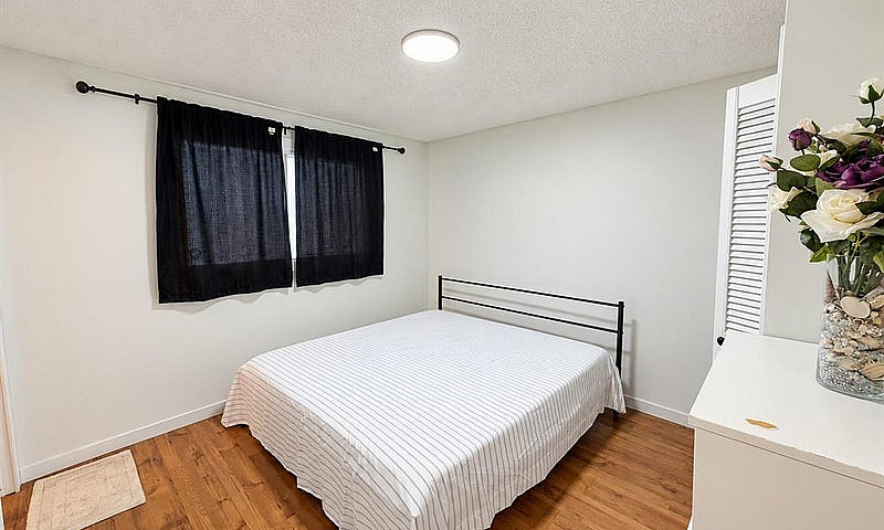 1535 Laura Avenue...