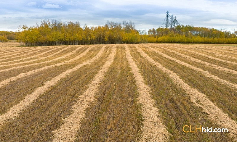 95 Acres Farm Land F...