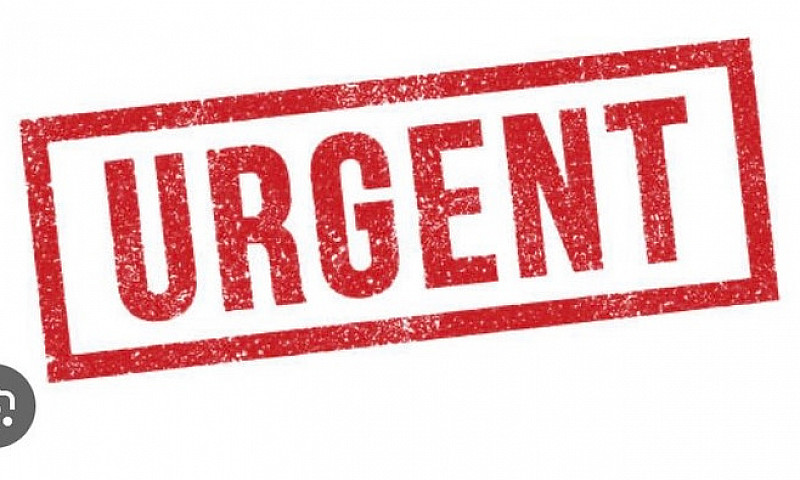 Urgent Looking For A...