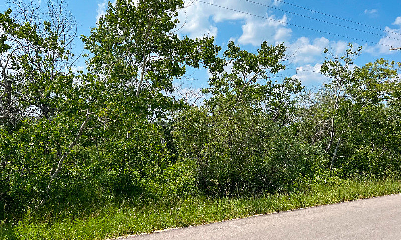 For Sale 5 Acre Lot ...