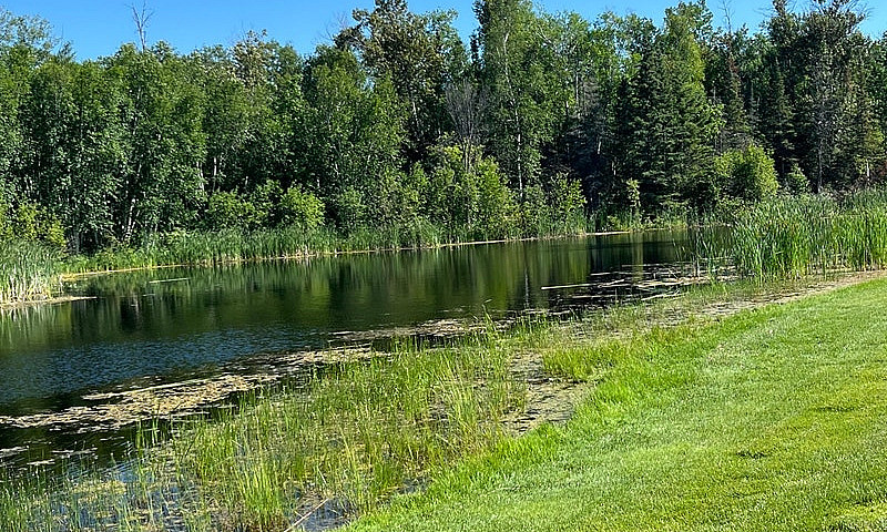 Grand Pines Lot For ...