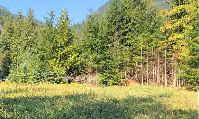 Kootenay Lake Lot Fo...