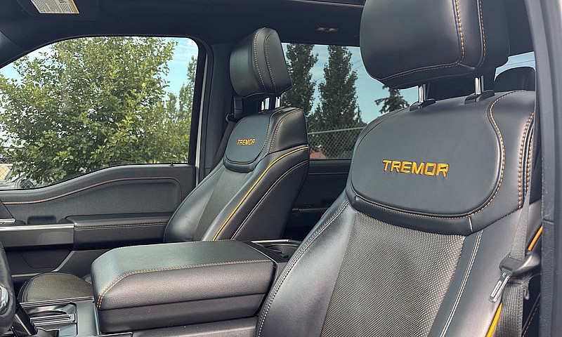 F150 Tremor - No Gst...