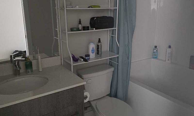 1 Bedroom Apartment ...