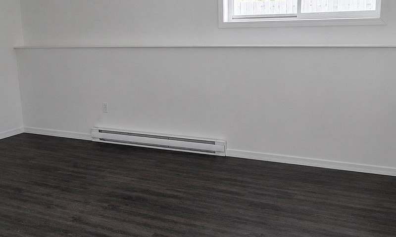 1 Bedroom Apartment ...