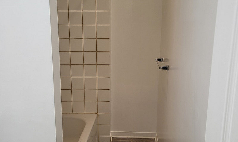 Hintonburg 1 Bedroom...