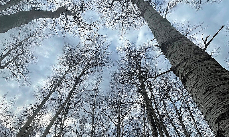 Land For Sale...