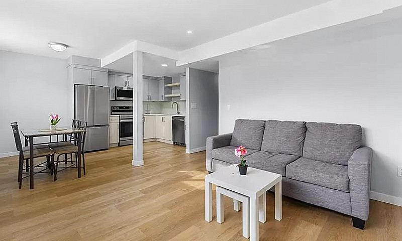 3 Bed 1 Bath Forest ...