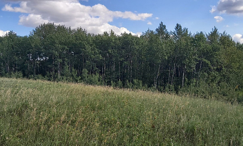 Land For Sale...