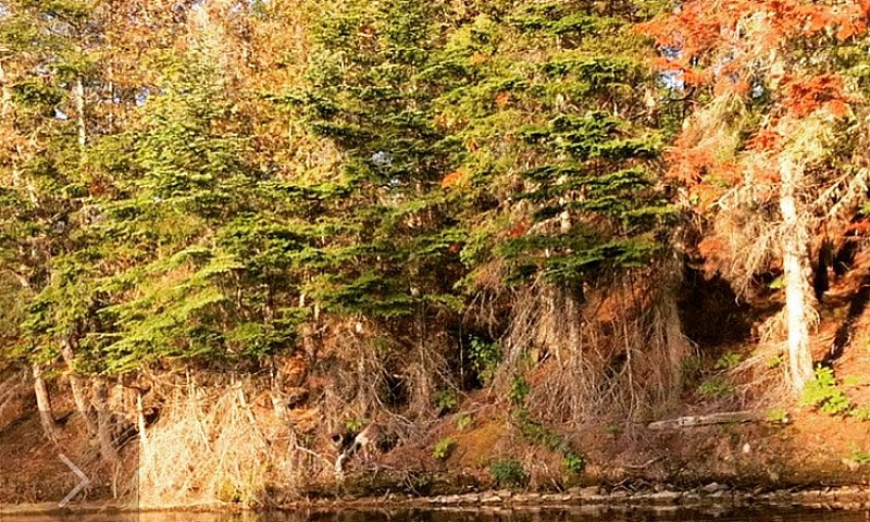  Three Acre Waterfro...