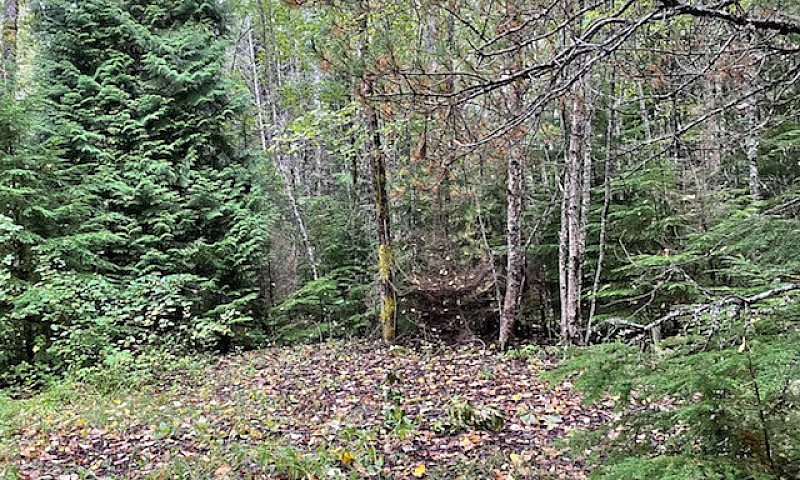 Land For Sale Minute...