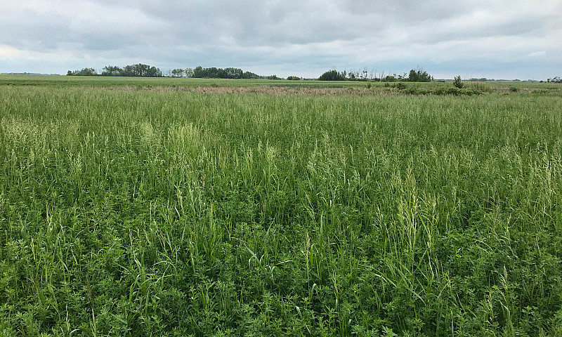 Land For Sale...
