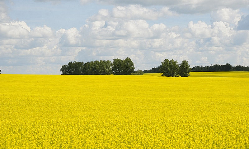 1,085 Acres For Sale...