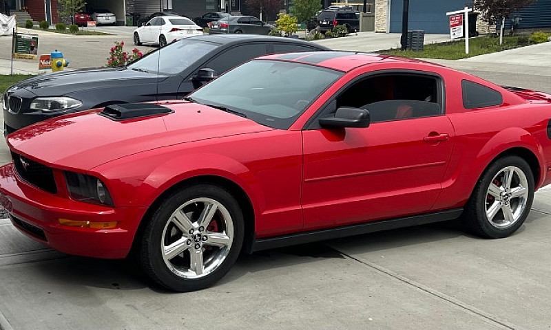 Red Mustang 2008...