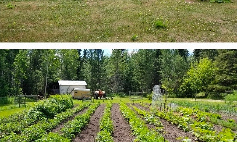 Land And House Near ...