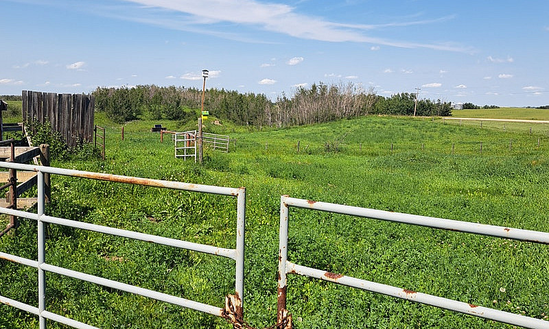 Are You Looking For ...