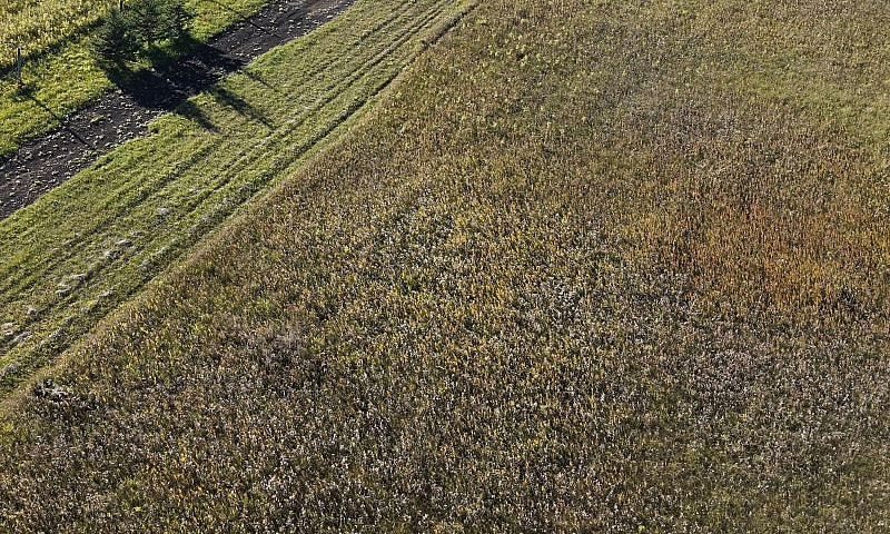 4 Acre Lot In St. An...