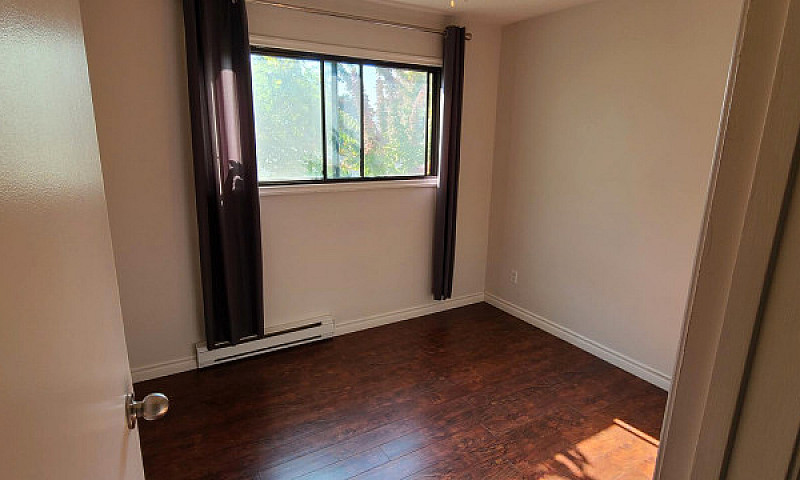 Bright 2 Bedroom Sui...