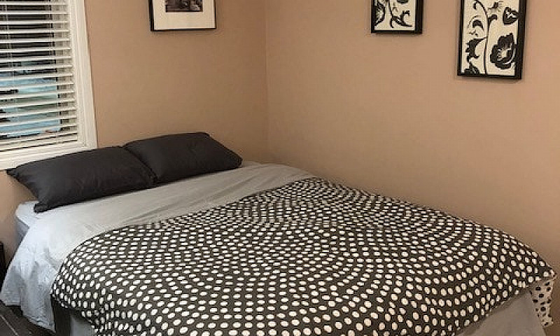 3 Bedroom Furnished ...