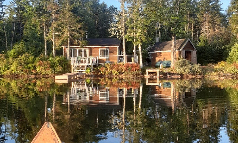 Lakefront Cabin - Fo...