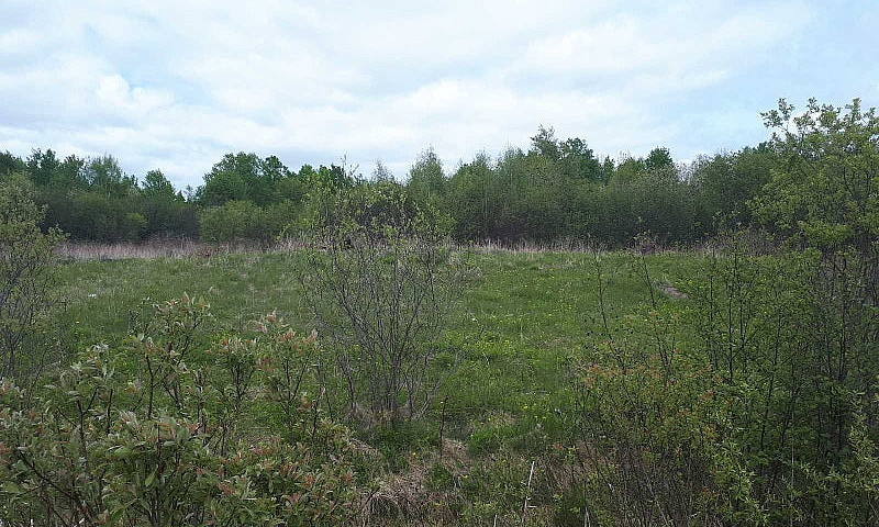 Land For Sale ...