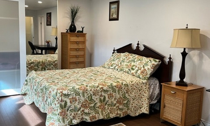 Basement Apartment F...