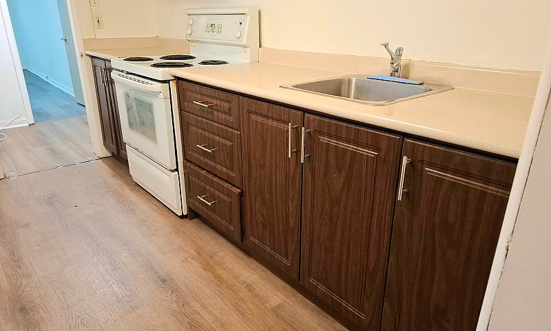 Basement  Unit With ...
