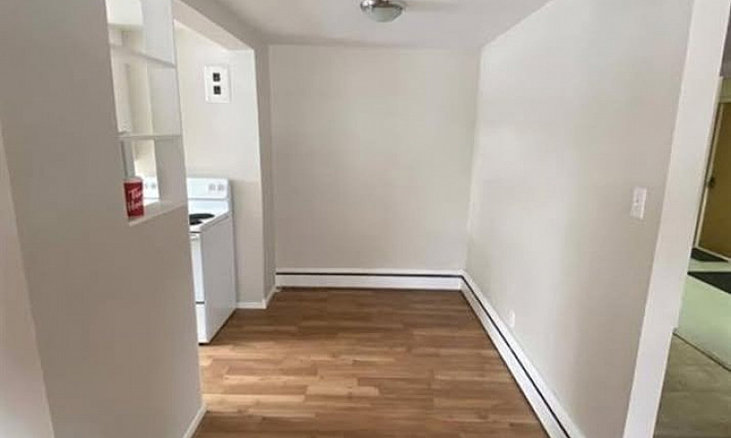 1 Bed 1 Bath Apartme...