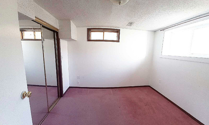 Walkout Basement Tem...