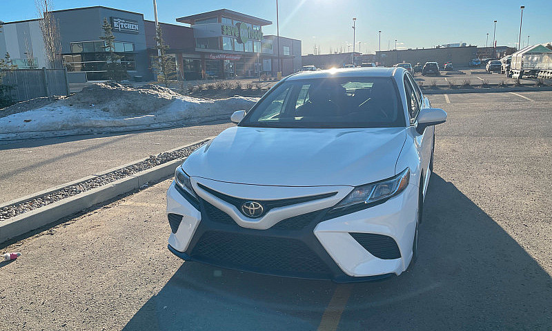 2019 Toyota Camry Se...