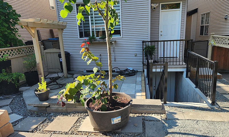 Brand-New 1-Bed Base...