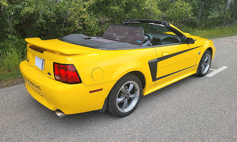2004 Mustang Gt Conv...