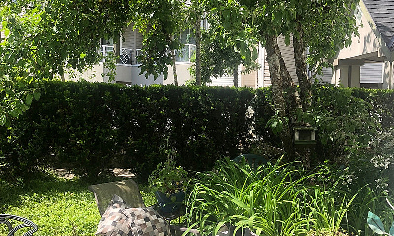 Beautiful  1Br  In T...
